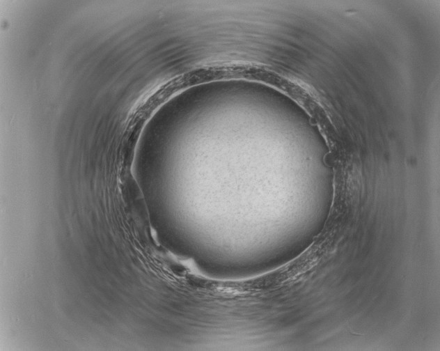 X0000060740871200511171054