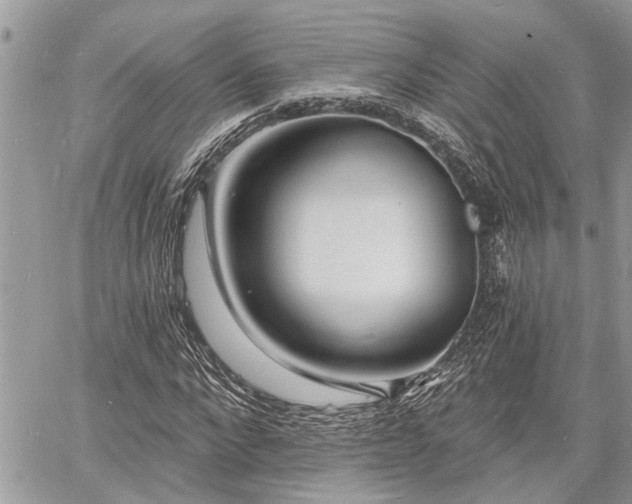 X0000060740872200511171054