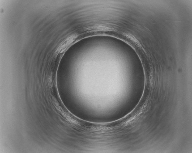 X0000060740873200511171054