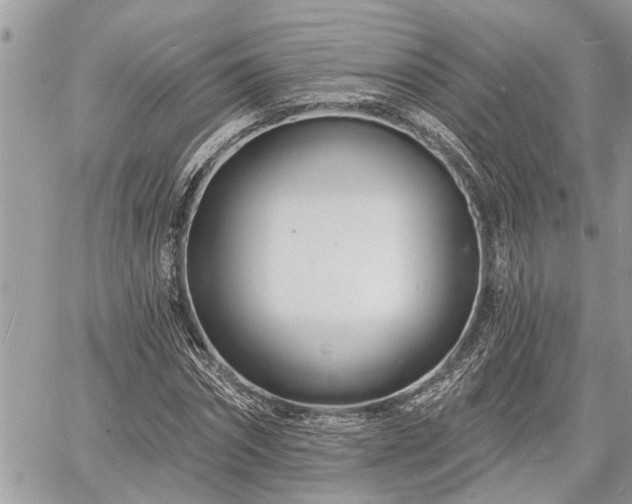 X0000060740874200511171054