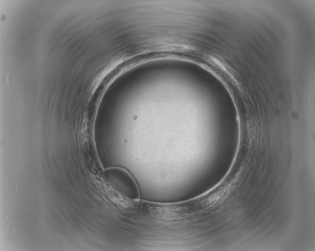 X0000060740875200511171054