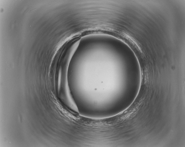 X0000060740876200511171054