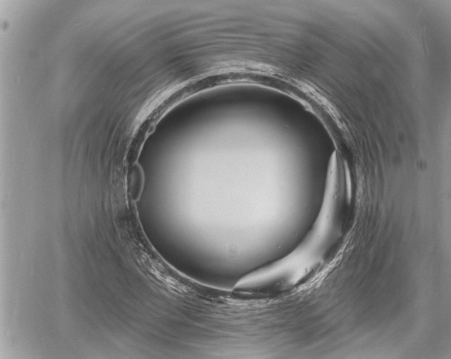 X0000060740877200511171054