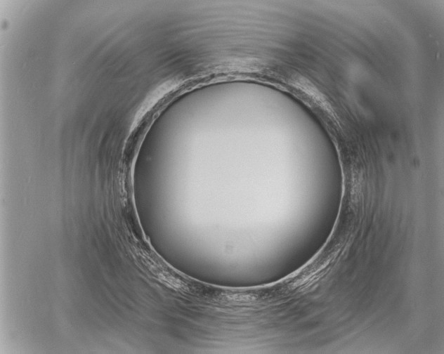 X0000060740878200511171054