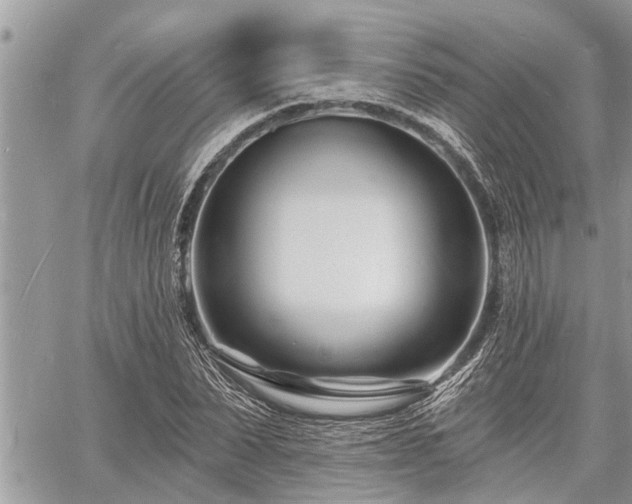 X0000060740879200511171054