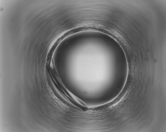 X0000060740880200511171054