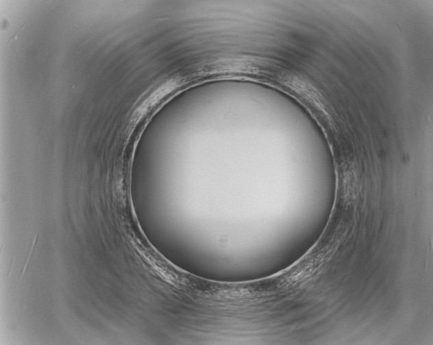 X0000060740882200511171054