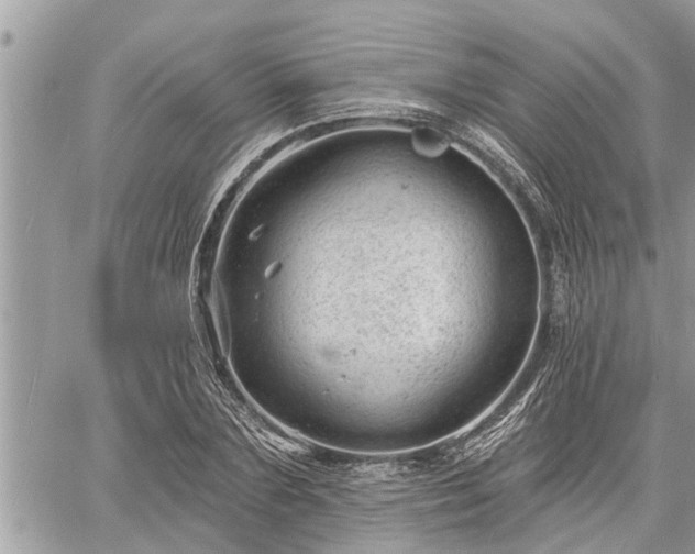 X0000060740883200511171054