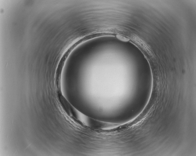 X0000060740884200511171054