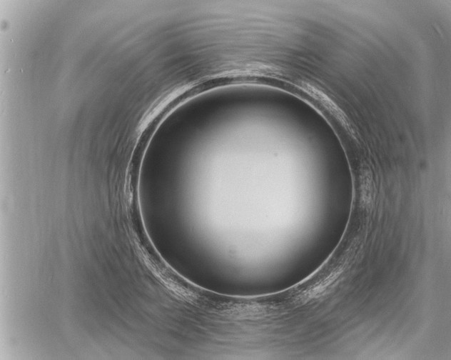 X0000060740885200511171054