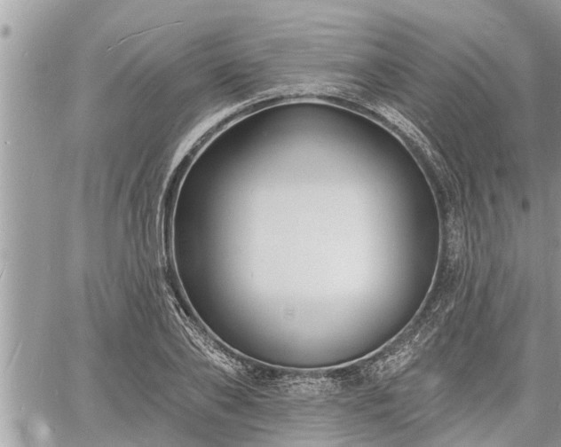 X0000060740886200511171054