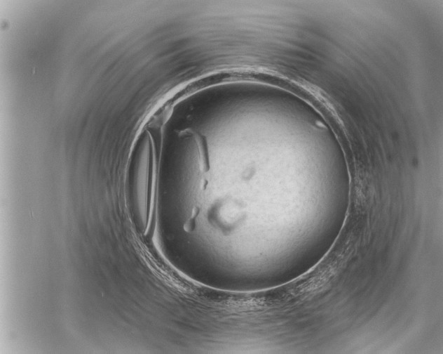 X0000060740887200511171054