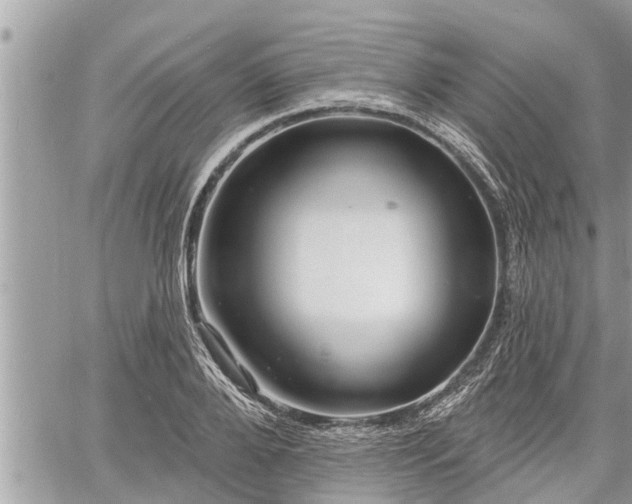 X0000060740888200511171054