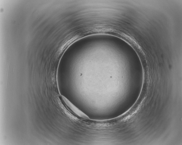 X0000060740889200511171054