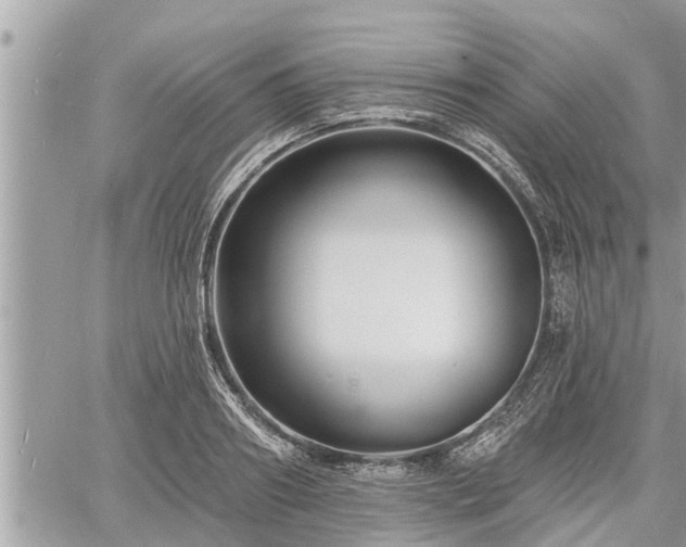 X0000060740890200511171054