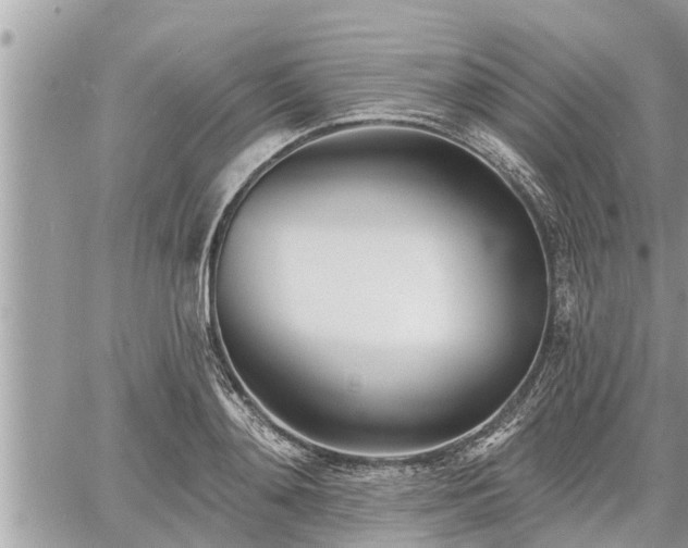 X0000060740892200511171054