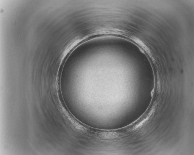 X0000060740893200511171054