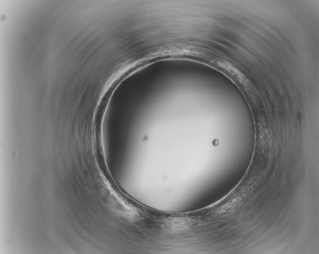 X0000060740894200511171054