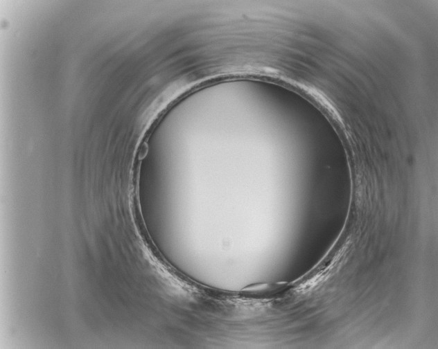 X0000060740895200511171054