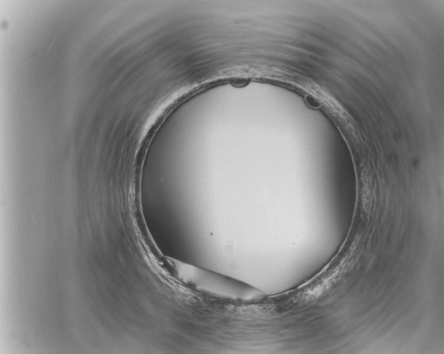 X0000060740896200511171054