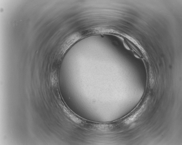 X0000060740897200511171054