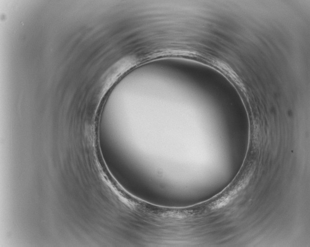 X0000060740898200511171054