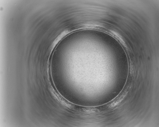 X0000060740899200511171054