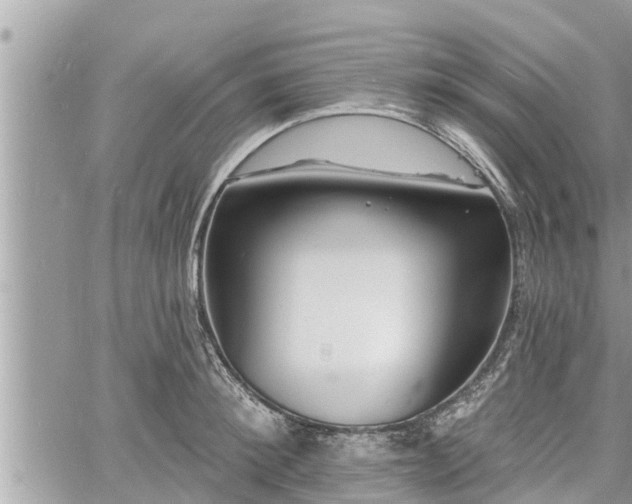 X0000060740900200511171054