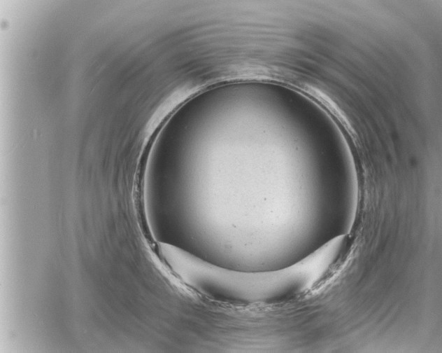 X0000060740901200511171054