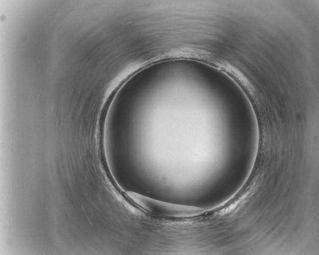 X0000060740902200511171054