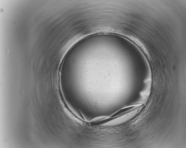 X0000060740903200511171054