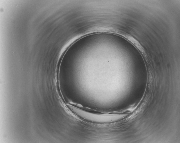 X0000060740904200511171054