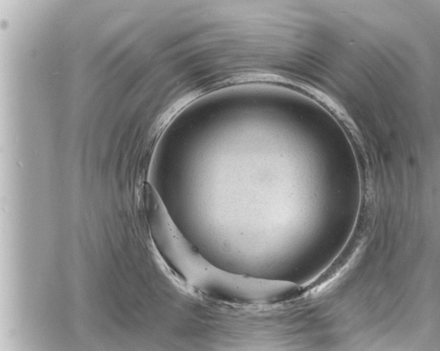 X0000060740905200511171054