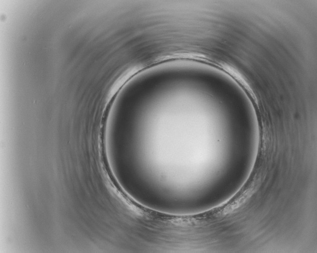 X0000060740906200511171054