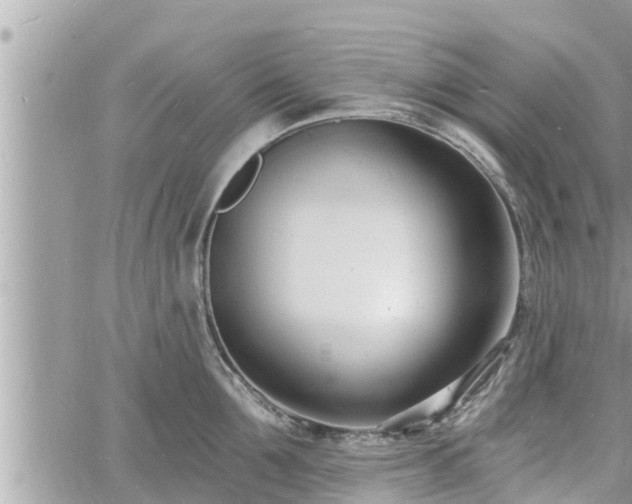 X0000060740907200511171054