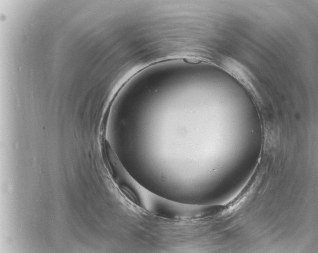 X0000060740908200511171054