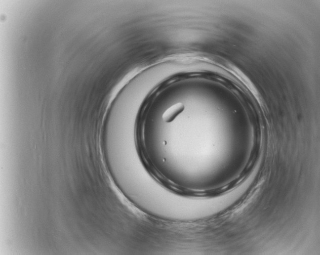 X0000060740909200511171054