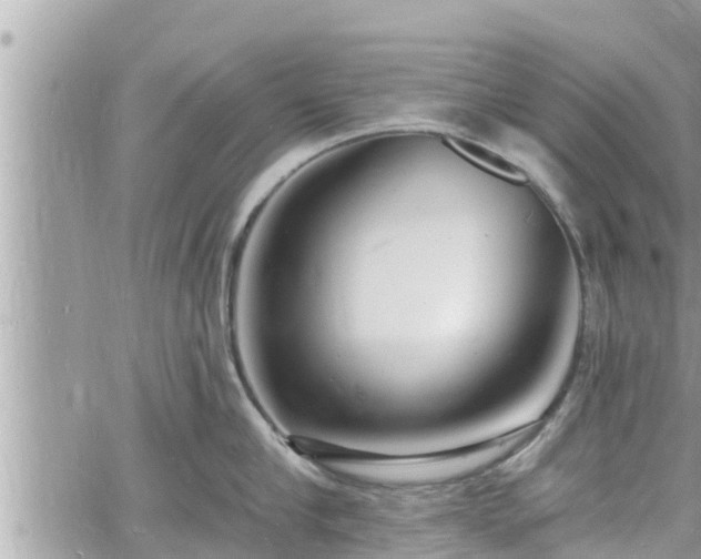 X0000060740910200511171054