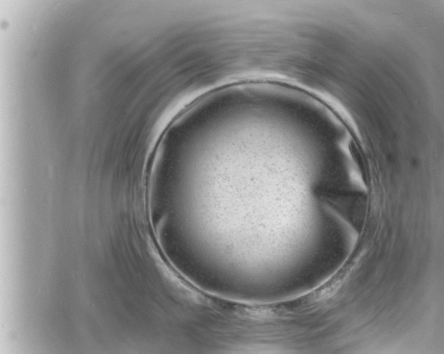 X0000060740911200511171054