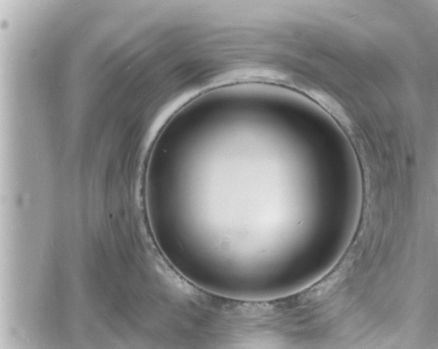 X0000060740912200511171054