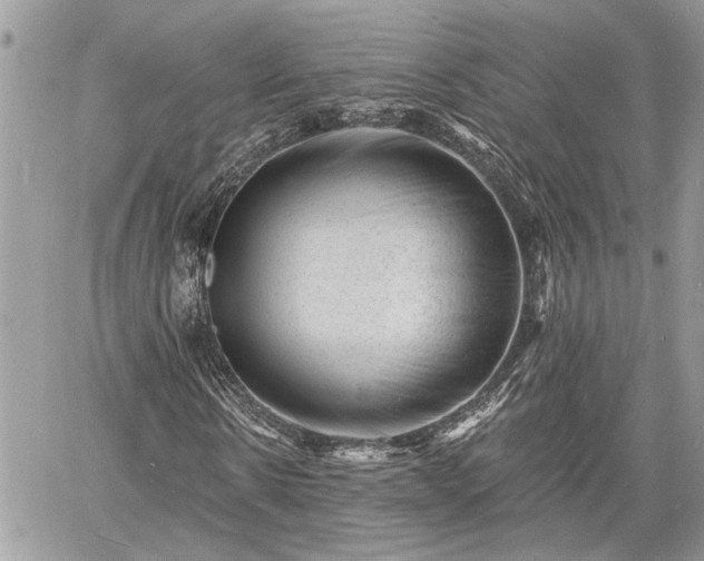 X0000060740914200511171053