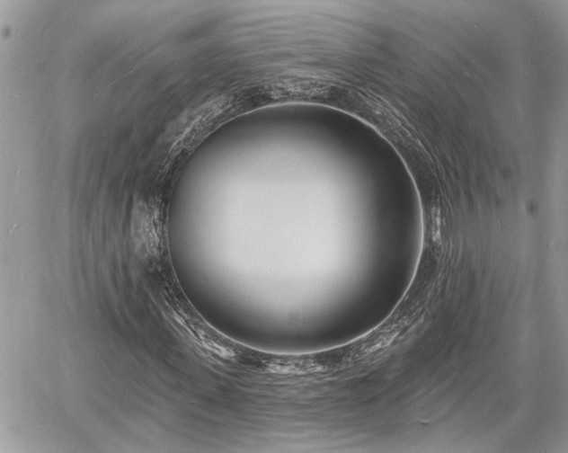 X0000060740915200511171053