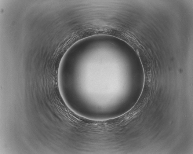 X0000060740916200511171053