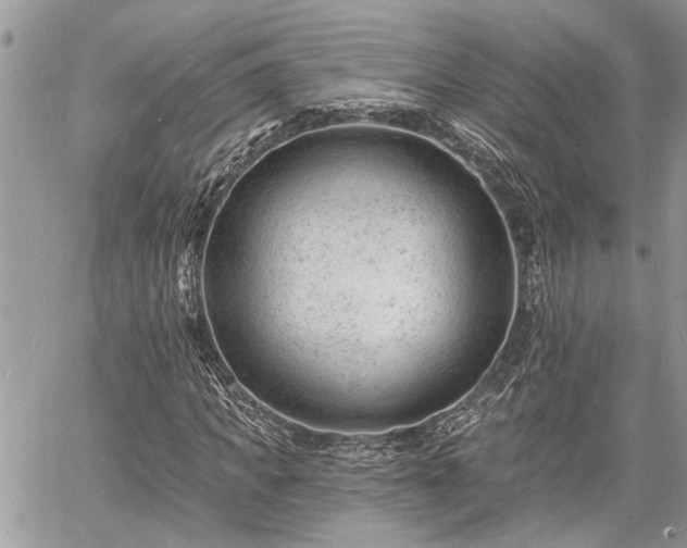 X0000060740917200511171053