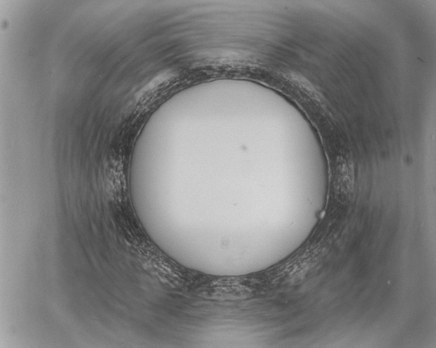 X0000060740918200511171053