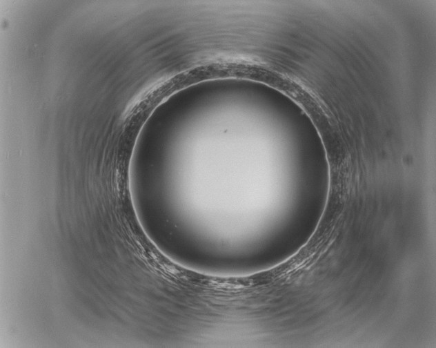 X0000060740919200511171053