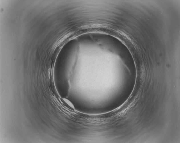 X0000060740921200511171053