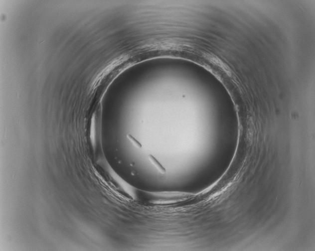 X0000060740922200511171053