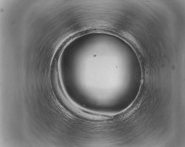 X0000060740924200511171053