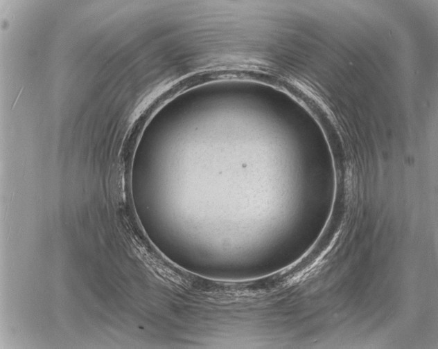 X0000060740925200511171053